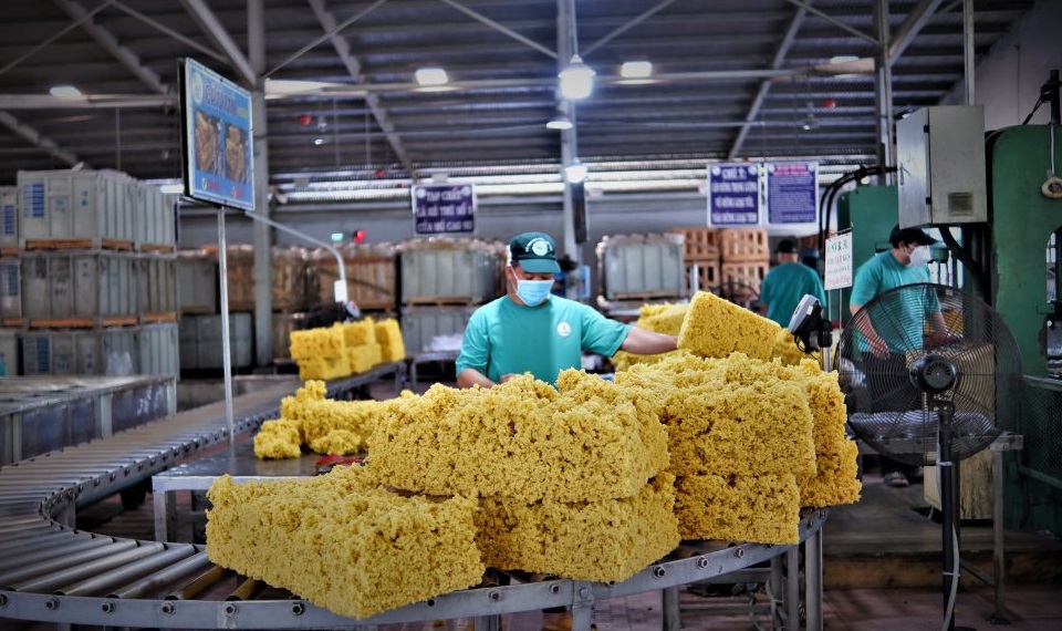 Cao su Dầu Tiếng: Sản xuất gắn với bảo vệ môi trường